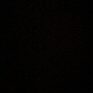 Meet your Posher, Talia